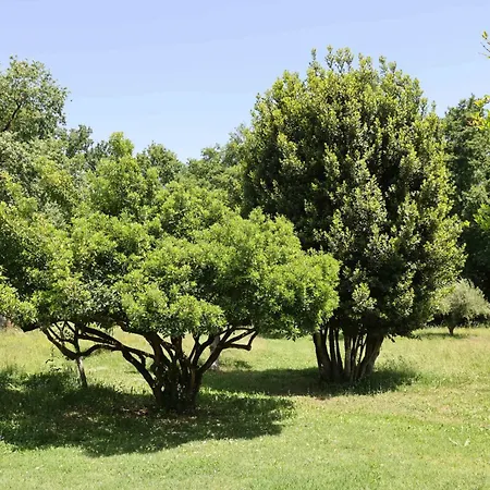 Dom wakacyjny Yi Garden Corfu Corfu (city)
