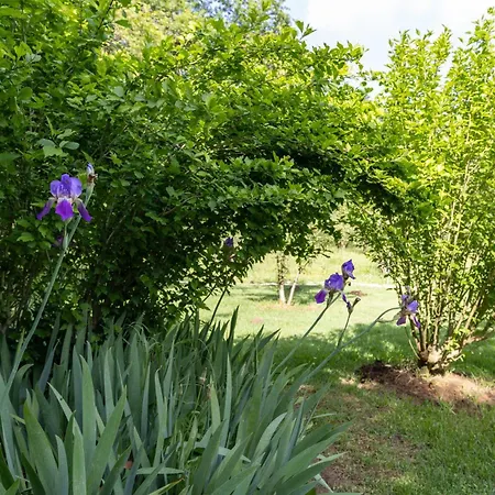 Casa vacanze Yi Garden Corfu *