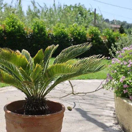 Casa vacanze Yi Garden Corfu