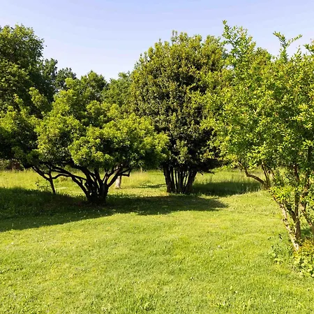بيت للعطل Yi Garden Corfu Corfu (city)